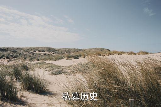 美國最大的私人股權投資,公司投資合作社的股權最大是多少