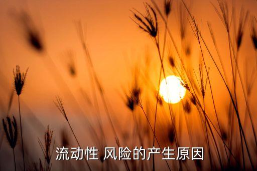  流動性 風(fēng)險(xiǎn)的產(chǎn)生原因