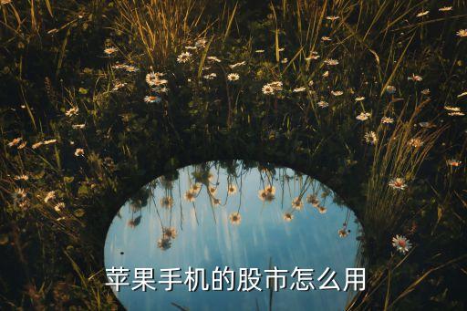 怎樣買蘋(píng)果股票,買蘋(píng)果股票是不是穩(wěn)賺