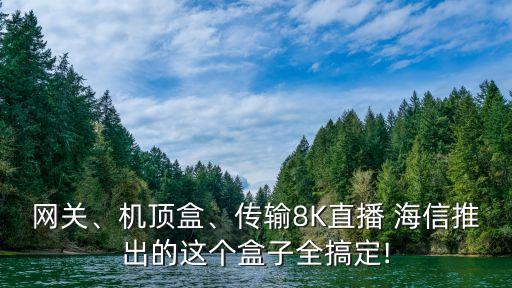 網(wǎng)關(guān)、機頂盒、傳輸8K直播 海信推出的這個盒子全搞定!