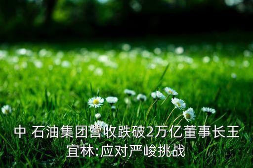 中 石油集團營收跌破2萬億董事長王宜林:應(yīng)對嚴峻挑戰(zhàn)