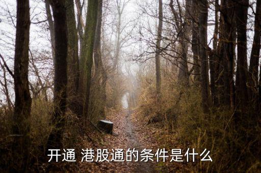 開(kāi)通 港股通的條件是什么