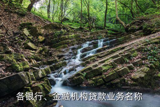 各銀行、金融機構(gòu)貸款業(yè)務(wù)名稱