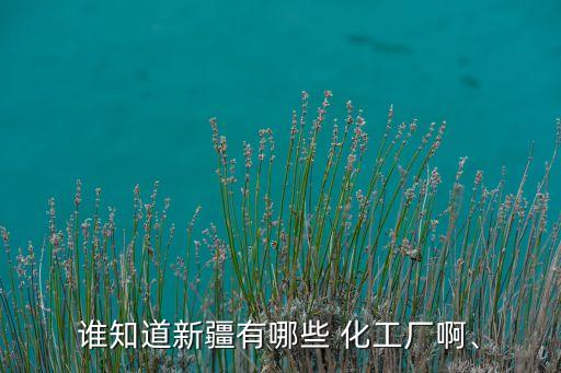誰知道新疆有哪些 化工廠啊、