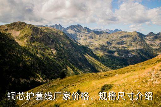 銅芯護(hù)套線廠家價(jià)格、規(guī)格尺寸介紹