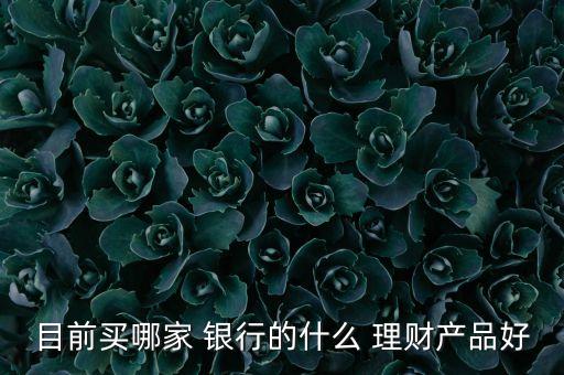 目前買哪家 銀行的什么 理財產品好
