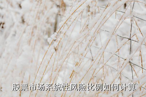  股票市場系統(tǒng)性風(fēng)險(xiǎn)比例如何計(jì)算