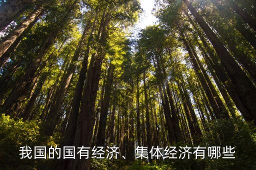 我國的國有經(jīng)濟(jì)、集體經(jīng)濟(jì)有哪些