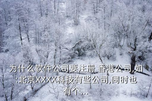 為什么軟件公司要注冊 香港公司,如:北京XXXX科技有些公司,同時(shí)也有個...
