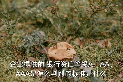企業(yè)提供的 銀行資信等級A、AA、AAA是怎么判別的標(biāo)準(zhǔn)是什么