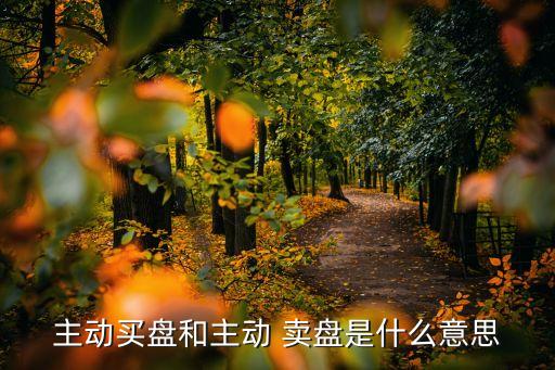 主動(dòng)買盤和主動(dòng) 賣盤是什么意思