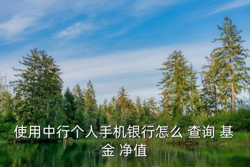 使用中行個(gè)人手機(jī)銀行怎么 查詢(xún) 基金 凈值