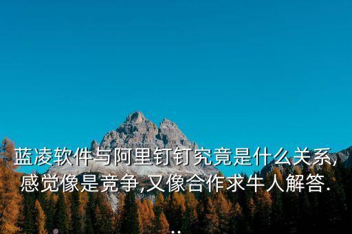 釘釘投資,阿里巴巴對釘釘的投資