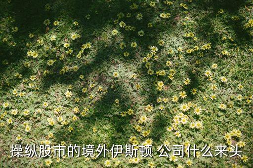 操縱股市的境外伊斯頓 公司什么來(lái)頭