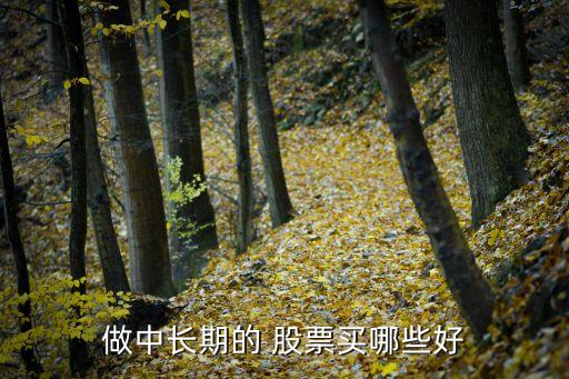 做中長(zhǎng)期的 股票買哪些好