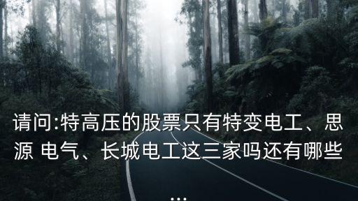 請(qǐng)問:特高壓的股票只有特變電工、思源 電氣、長城電工這三家嗎還有哪些...