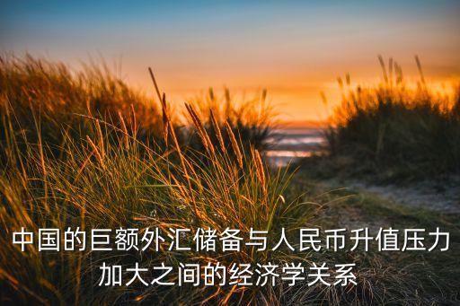 中國的巨額外匯儲備與人民幣升值壓力加大之間的經(jīng)濟學關(guān)系