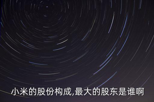  小米的股份構成,最大的股東是誰啊