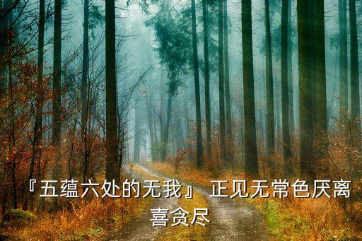 『五蘊(yùn)六處的無(wú)我』 正見無(wú)常色厭離喜貪盡