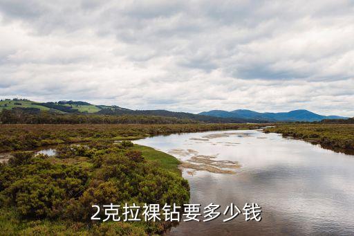 2克拉裸鉆要多少錢(qián)