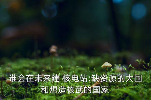 誰(shuí)會(huì)在未來(lái)建 核電站:缺資源的大國(guó)和想造核武的國(guó)家