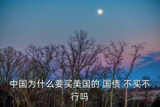 中國(guó)為什么要買(mǎi)美國(guó)的 國(guó)債 不買(mǎi)不行嗎