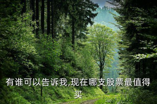 有誰(shuí)可以告訴我,現(xiàn)在哪支股票最值得買