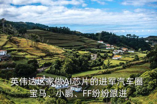 英偉達(dá)這家做AI芯片的進(jìn)軍汽車圈 寶馬、小鵬、FF紛紛跟進(jìn)