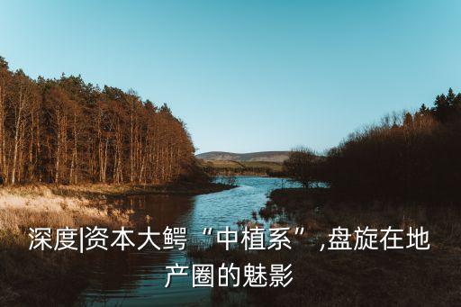 深度|資本大鱷“中植系”,盤旋在地產圈的魅影