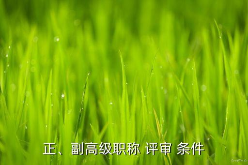 正、副高級職稱 評審 條件