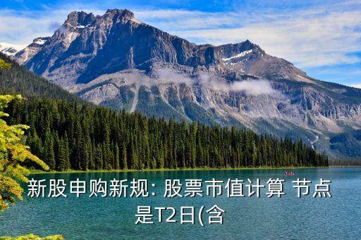 新股申購新規(guī): 股票市值計算 節(jié)點(diǎn)是T2日(含