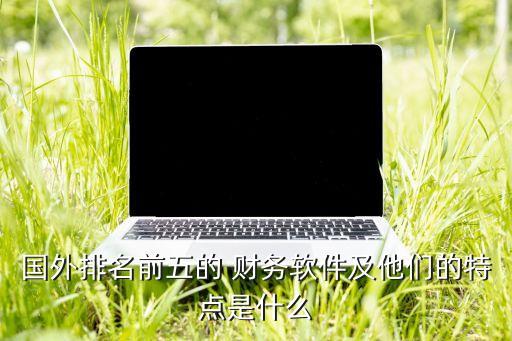 國外排名前五的 財(cái)務(wù)軟件及他們的特點(diǎn)是什么