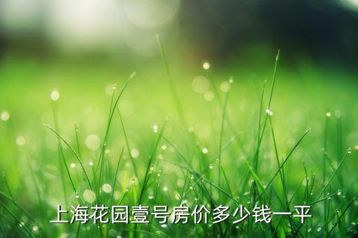  上?；▓@壹號(hào)房?jī)r(jià)多少錢(qián)一平
