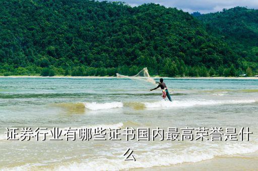 證券行業(yè)有哪些證書(shū)國(guó)內(nèi)最高榮譽(yù)是什么