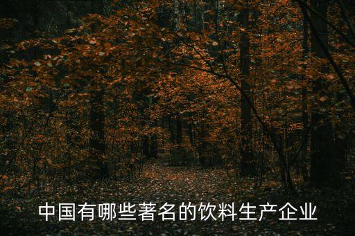 中國有哪些著名的飲料生產(chǎn)企業(yè)