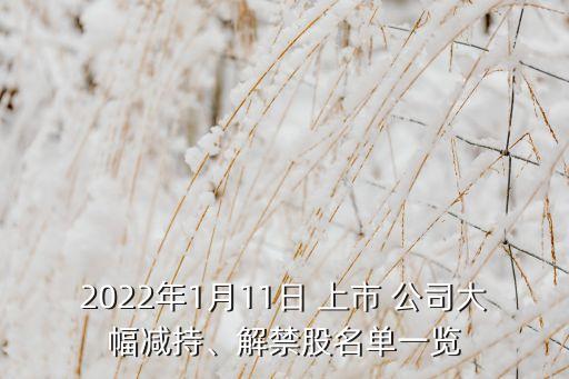 2022年1月11日 上市 公司大幅減持、解禁股名單一覽