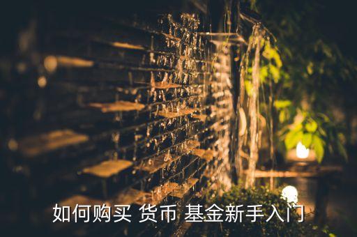 如何購(gòu)買(mǎi) 貨幣 基金新手入門(mén)