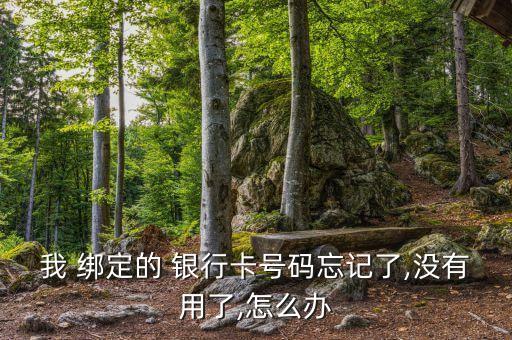 我 綁定的 銀行卡號(hào)碼忘記了,沒有用了,怎么辦