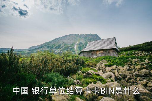 中國 銀行單位結算卡卡BIN是什么