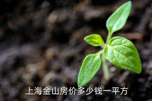  上海金山房?jī)r(jià)多少錢(qián)一平方