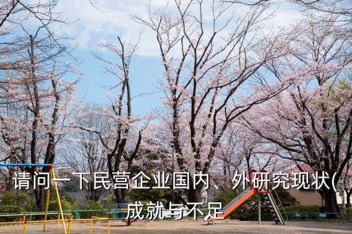 請問一下民營企業(yè)國內(nèi)、外研究現(xiàn)狀(成就與不足