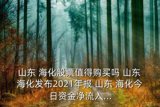  山東 海化股票值得購買嗎 山東 ?；l(fā)布2021年報 山東 ?；袢召Y金凈流入...