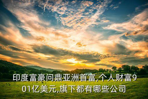  印度富豪問(wèn)鼎亞洲首富,個(gè)人財(cái)富901億美元,旗下都有哪些公司