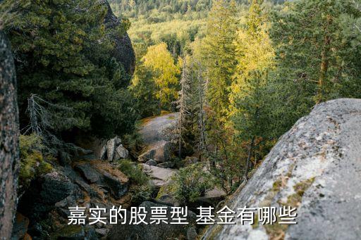 嘉實(shí)低碳環(huán)?；饍糁?嘉實(shí)環(huán)保低碳基金001616