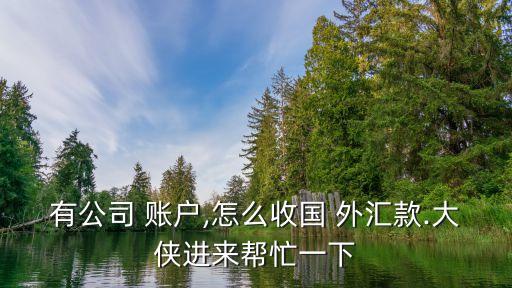 有公司 賬戶,怎么收國(guó) 外匯款.大俠進(jìn)來(lái)幫忙一下