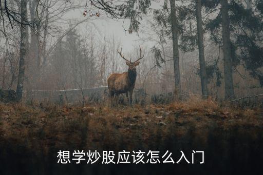 想學(xué)炒股應(yīng)該怎么入門(mén)