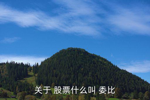 關于 股票什么叫 委比