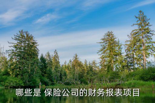 哪些是 保險公司的財(cái)務(wù)報(bào)表項(xiàng)目