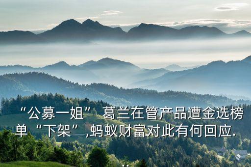 “公募一姐” 葛蘭在管產(chǎn)品遭金選榜單“下架”,螞蟻財富對此有何回應...