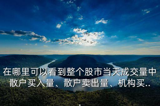 在哪里可以看到整個股市當(dāng)天成交量中散戶買入量、散戶賣出量、機構(gòu)買...